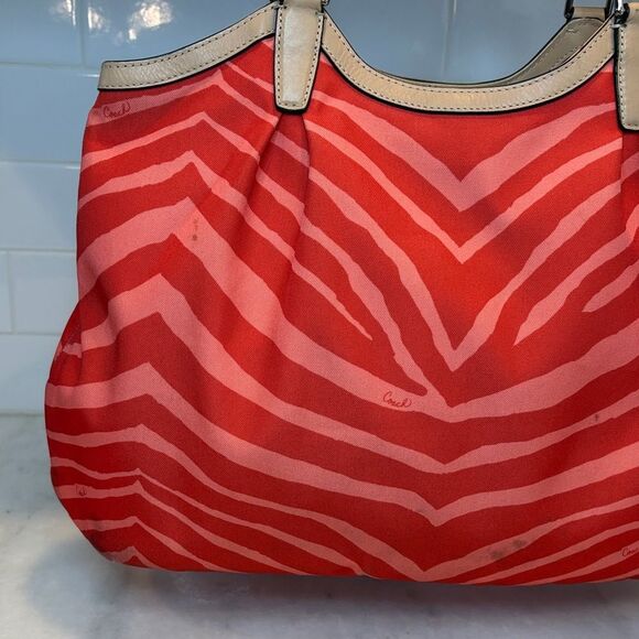 Coach Purse Handbag Tote Pocketbook Devin Exotic Stripe Zebra Print Shoulder Bag - Picture 5 of 16